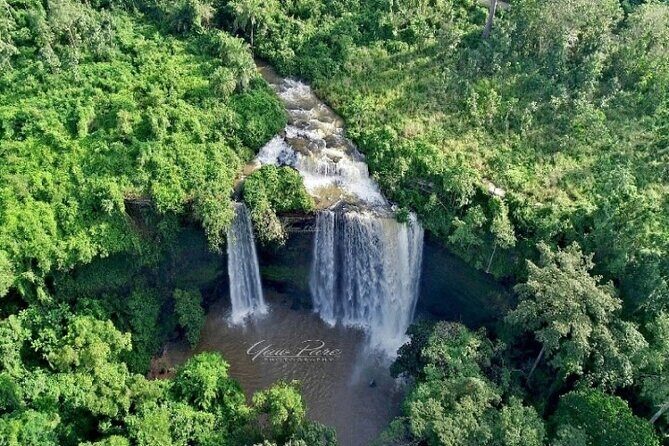 Boti Falls, Umbrella Rock, Aburi Gardens & Cocoa Farm Day Tour - Aburi Botanical Gardens: A Living Plant Collection