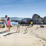 Boulders Beach Cape Town: Swimming With Penguin & Close Encounter Half Day Tour - Who Will Love This Tour?