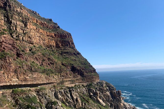 Boulders Beach Penguins and Seal Island Boat Trip Half Day Tour - The Sum Up