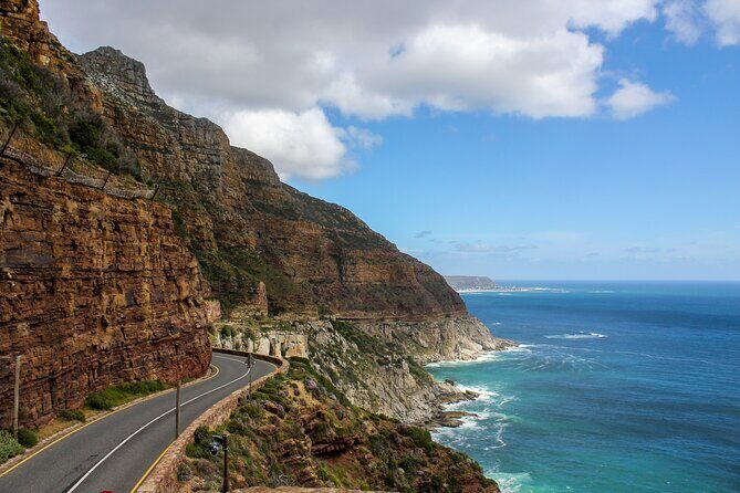 Boulder's Beach Penguins Chapman's Peak & Simonstown - Authentic Insights from Past Travelers