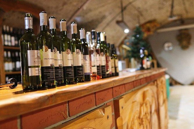 Bratislava 3-Hour Wine Tasting - Who Should Consider This Tour?