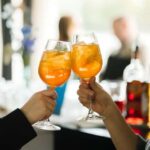 Bratislava: Gourmet Goose Dinner with Cruise on Danube - Who Will Love This Tour?