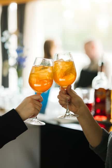 Bratislava: Gourmet Goose Dinner with Cruise on Danube - Who Will Love This Tour?