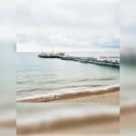 Brighton: Zip Wire Experience Ticket and Transfer - Details and Practicalities