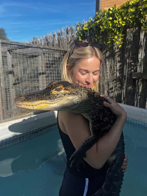Bristol: Swimming with Crocodiles coffee and cake - What Makes This Tour Stand Out?