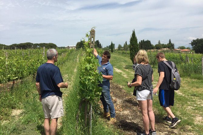 Brunello di Montalcino, small biodynamic wineries - An In-Depth Look at the Tour Experience