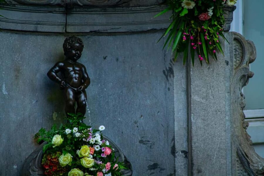 Brussels: Where Comics, Culture & Quirk Collide Walking Tour - The Practicalities: What to Expect