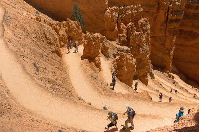 Bryce Canyon and Zion National Park Tour - Authentic Insights from Travelers