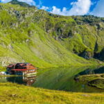 Bucharest: Bear Watching Tour and Top Gear Road Day Trip - Practical Details and Value