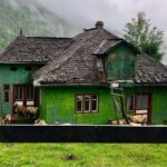 Bucharest: Brown Bears Sanctuary and Quad Tour - Final Thoughts