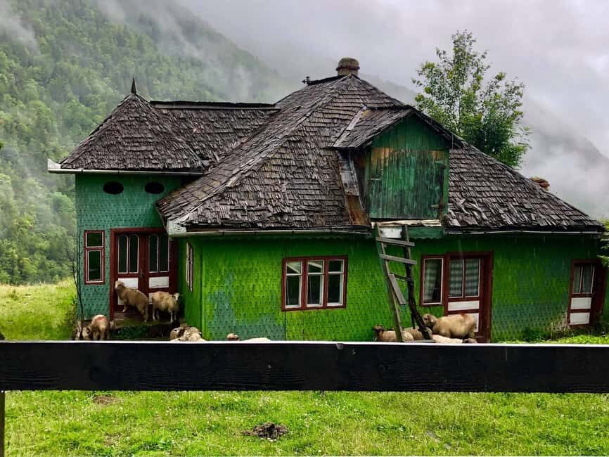 Bucharest: Brown Bears Sanctuary and Quad Tour - Final Thoughts