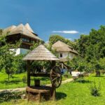 Bucharest: Village Museum, Ceauescu Mansion & Parliament - Who Is This Tour Best For?