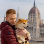 Budapest: Night Lights Cruise - Audio Guide and Commentary