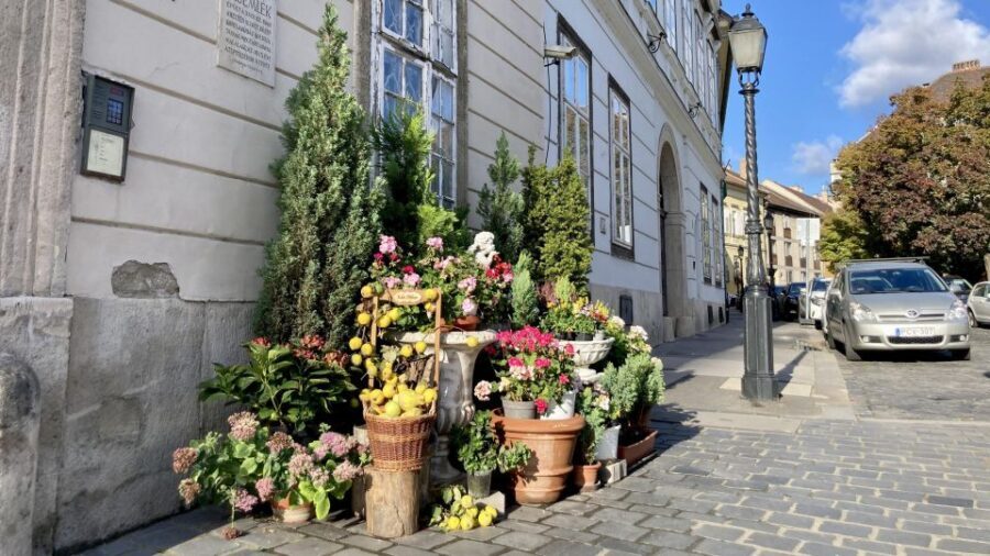 Budapest: private sightseeing tour by public transportation - The Itinerary Breakdown & Highlights