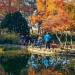 Budapest: Small-Group MonsteRoller E-Scooter Tours - Who Should Consider This Tour?