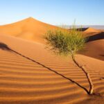 Budget Erg Chigaga Safari One Night. - What Makes This Tour Special?