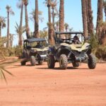 Buggy excursion to the palm grove Marrakech - What to Expect in Terms of Logistics and Value