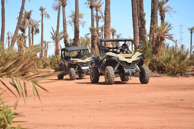 Buggy excursion to the palm grove Marrakech - What to Expect in Terms of Logistics and Value