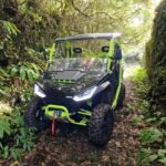 Buggy tour through the vineyards of Pico Island - What to Expect from the Route