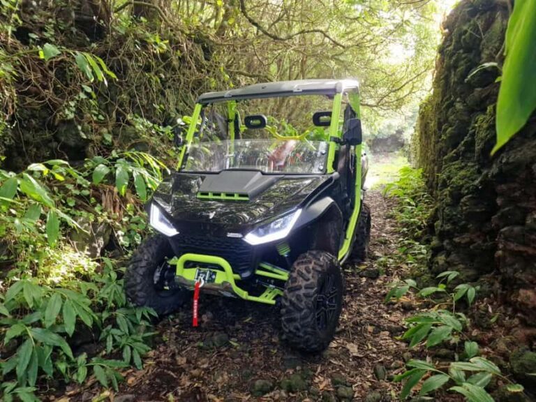 Buggy tour through the vineyards of Pico Island - What to Expect from the Route