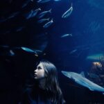 Burj Khalifa and Dubai Aquarium Combo Entrance Ticket - Visiting Burj Khalifa’s Observation Deck