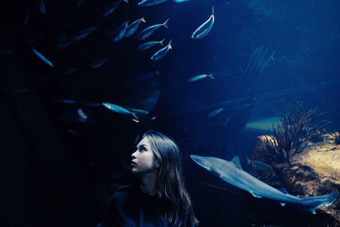 Burj Khalifa and Dubai Aquarium Combo Entrance Ticket - Visiting Burj Khalifa’s Observation Deck