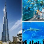 Burj Khalifa, Dubai Aquarium & UWZ with Penguin Cove Entry Ticket - Practical Aspects and Tips