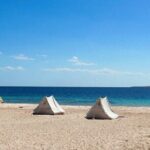 Bus Tour to Ras Mohamed from Sharm El Sheikh - Final Thoughts: Who Is This Tour Best For?