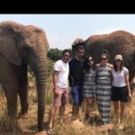 Bush Babies & Monkey Sanctuary and Elephants walk Private - Who Is This Tour Best For?