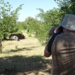 Bush Walking Safari Experience & Rhino Safari - MINIMUM 2 PEOPLE - Itinerary Breakdown and Experience Details