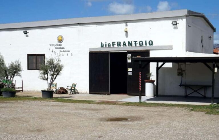 Cagliari Olive Oil Museum: Tours & Tasting a Dolianova - What You Can Expect from the Tour