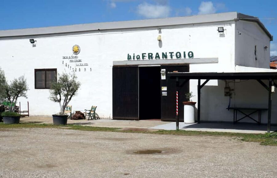 Cagliari Olive Oil Museum: Tours & Tasting a Dolianova - What You Can Expect from the Tour