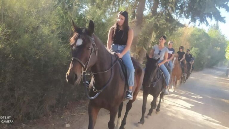 Cagliari: panoramic horseback riding - A Deep Dive into the Horseback Riding Experience