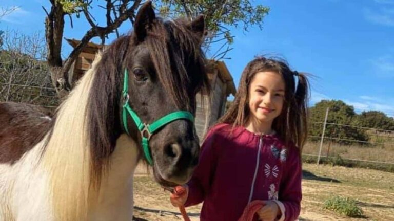 Cagliari: visit the animals of a farm - Engaging Activities on the Farm