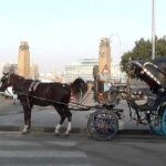 Cairo by night and free walking & eating tours in Cairo - Practical Details and Value