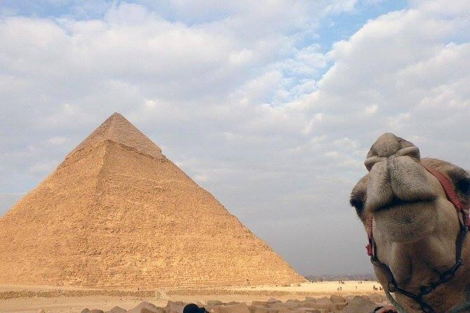 Cairo From Hurghada By Bus - Pricing and Value: Is It Worth It?