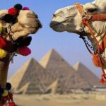 Cairo : Giza Pyramids ,Sphinx , Sakkara & Memphis Full-Day Tour with Camel Ride - The Practicalities and Value