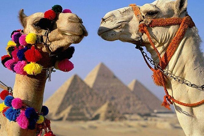 Cairo : Giza Pyramids ,Sphinx , Sakkara & Memphis Full-Day Tour with Camel Ride - The Practicalities and Value