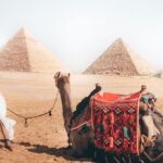 Cairo Highlights in a Full day Tour from Hurghada - Cost & Value: Is it Worth It?
