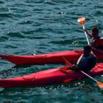 Cairo Kayak on The Nile River - Detailed Breakdown of the Itinerary