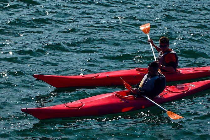 Cairo Kayak on The Nile River - Detailed Breakdown of the Itinerary