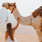 Cairo Layover Giza Pyramids & Sphinx with private tour Guide - What Do Reviewers Say?