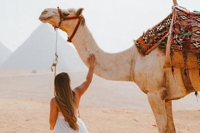 Cairo Layover Giza Pyramids & Sphinx with private tour Guide - What Do Reviewers Say?