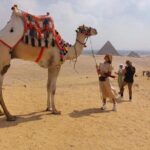 Cairo Private layover tour Giza pyramids,sphinx&Nile Felucca Boat - Detailed Breakdown of the Itinerary