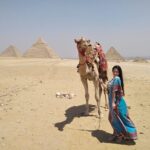 Cairo Stopover-day tour from Cairo airport Visiting Giza Pyramids - Pricing and Value