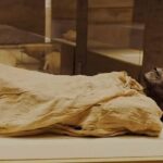 Cairo Tour To The National Museum of Egyptian Civilization, Citadel & Bazaar - Practical Details and Value
