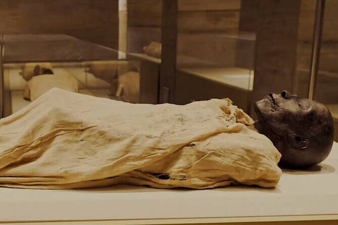 Cairo Tour To The National Museum of Egyptian Civilization, Citadel & Bazaar - Practical Details and Value