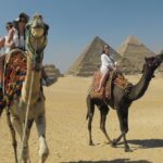 Cairo Transit Tours From Cairo International Airport - Who Will Love This Tour?
