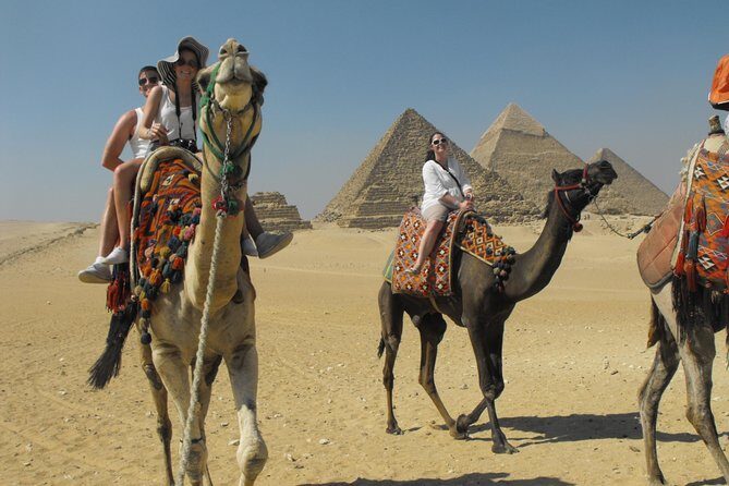 Cairo Transit Tours From Cairo International Airport - Who Will Love This Tour?