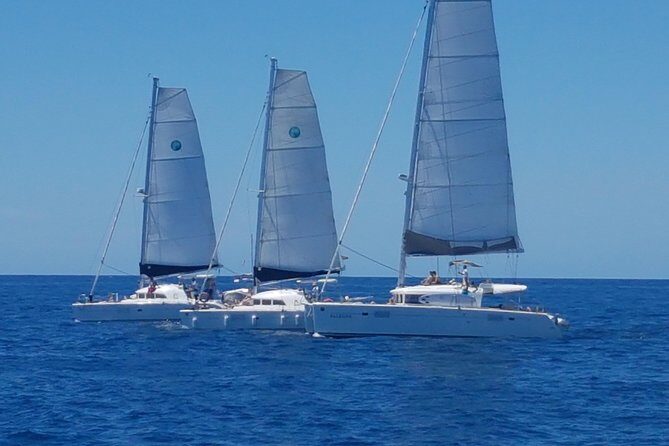 Cala d'Hort Sailing Adventure - Is This Tour Worth the Price?
